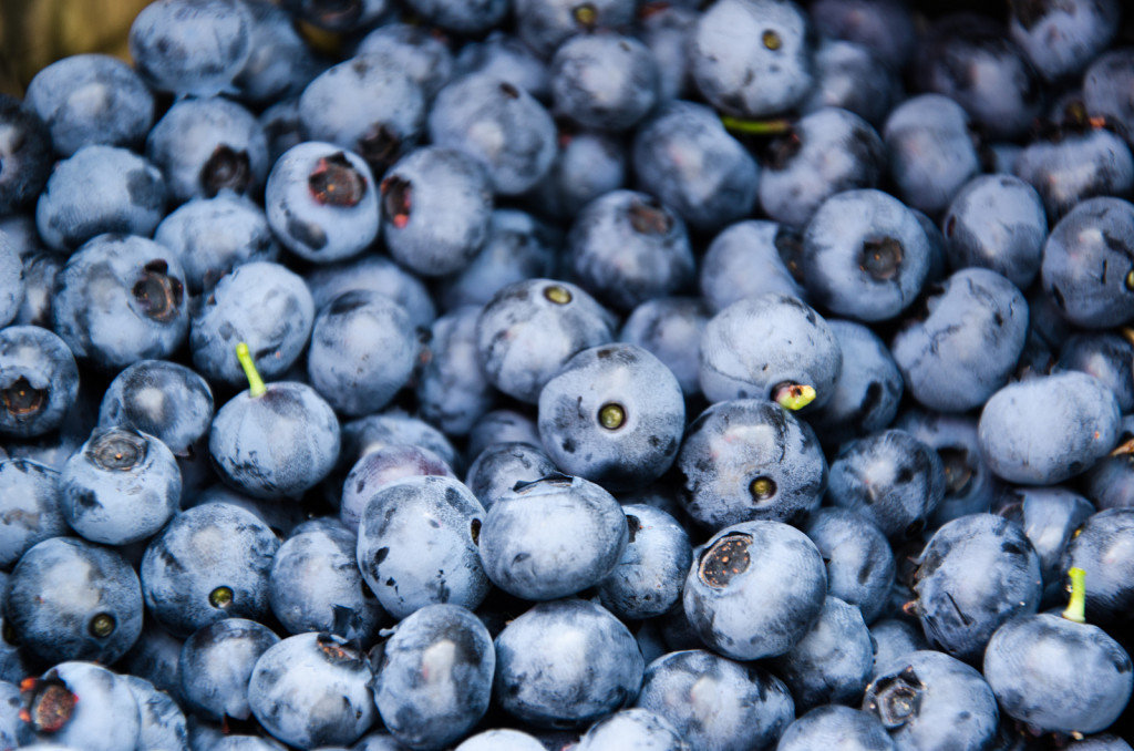 Blueberries - Flickr CC - rsseattle