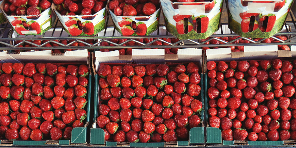 Strawberries - Life of Pix