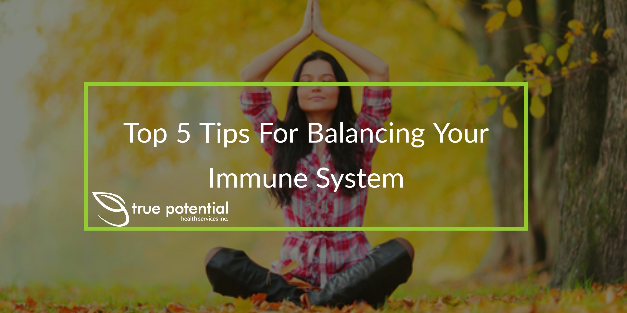 balance your immune system
