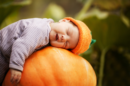thanksgiving saskatoon baby resting on pumpkin