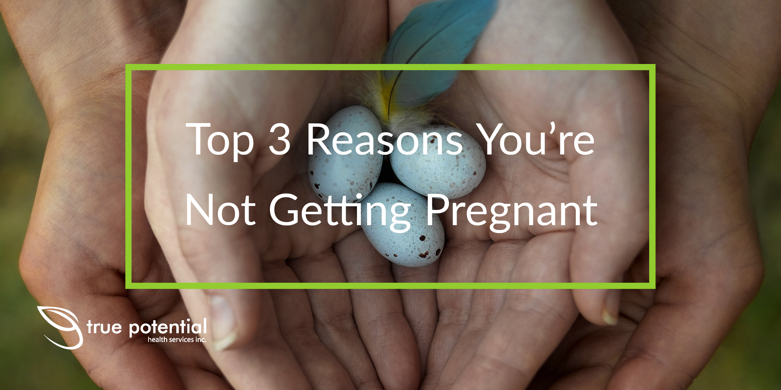 Top 3 Reasons You're Not Getting Pregnant