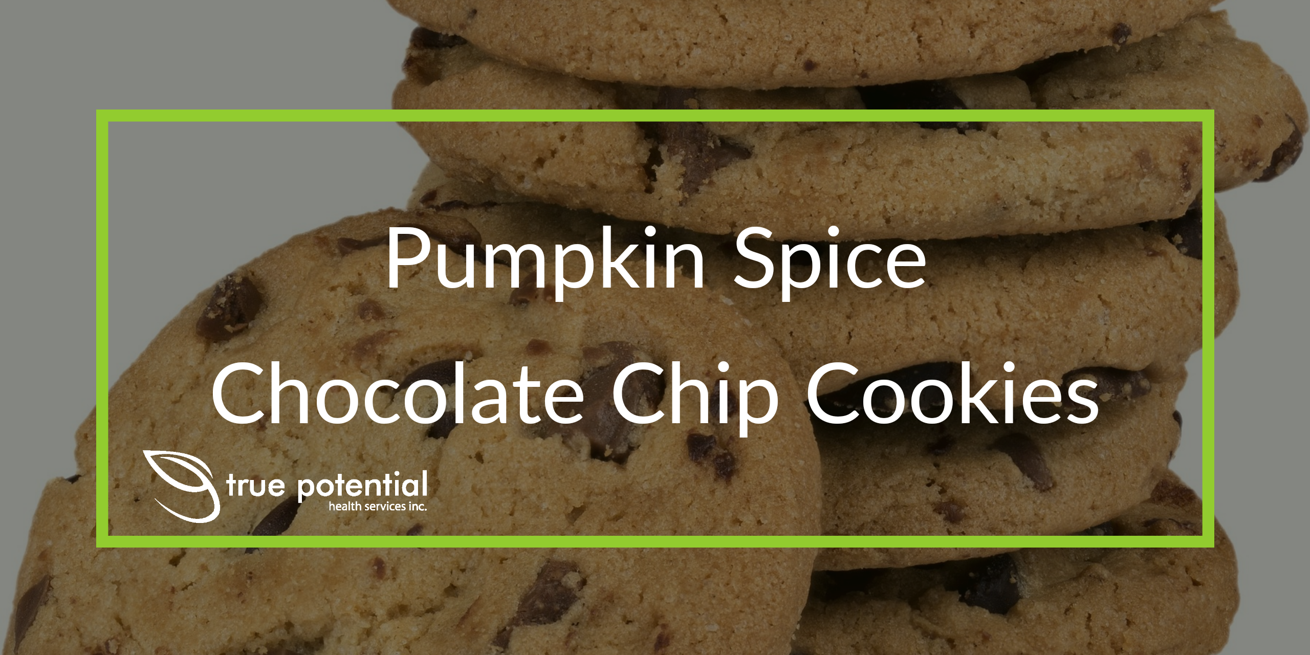 pumpkin spice chocolate chip cookies