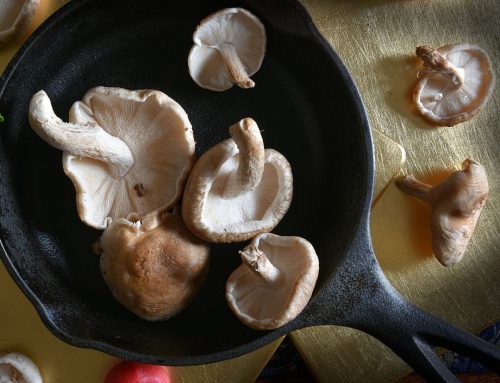 Nourishing Winter Mushroom Soup