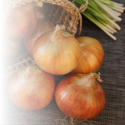 onion and green onion as great sources of prebiotic fibre