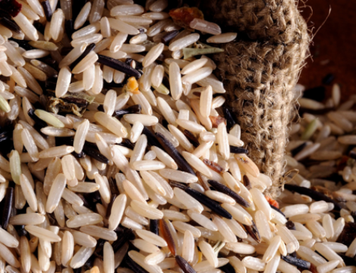 Gluten-Free Wild Rice Turkey Stuffing