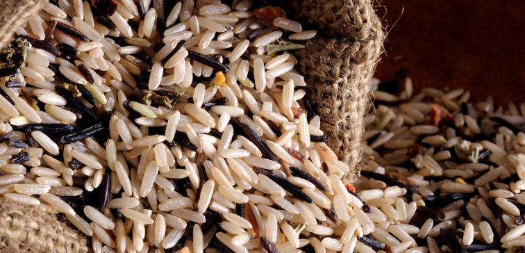 wild rice for gluten-free wild rice turkey stuffing for the holidays